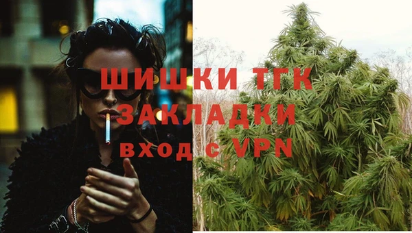 шишки Алзамай