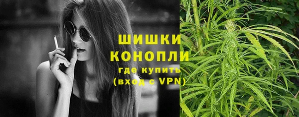 шишки Алзамай