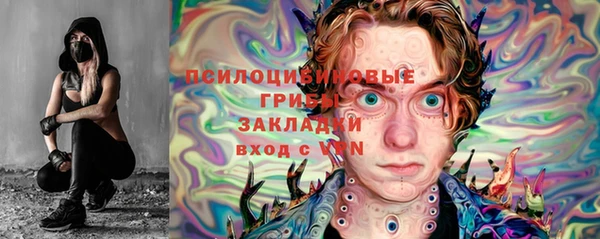 винт Алексин
