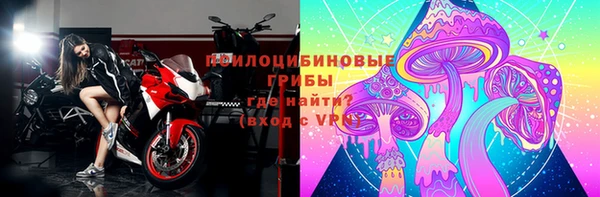 PSILOCYBIN Алексеевка