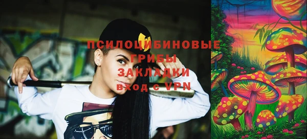 PSILOCYBIN Алексеевка